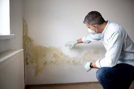 Forensic Mold Investigation in Waikoloa Village, HI